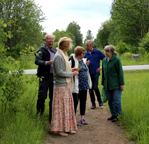 Diskussion på vägen