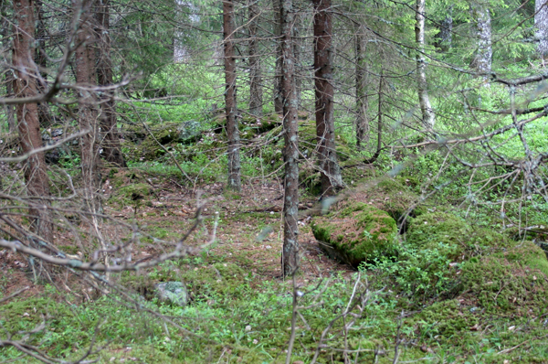 Skärviks ladugård?