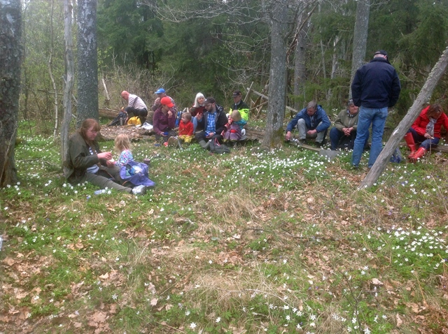 Picknick bland vitsipporna