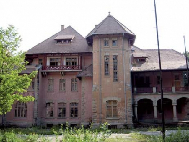 The castle in Dărmănesti