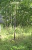 Klicka här för att läsa mera!