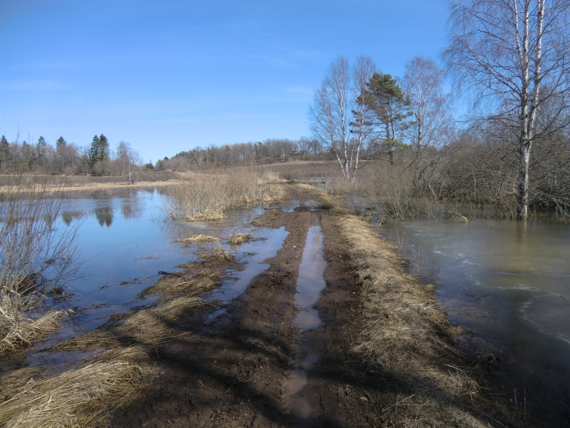 Översvämning