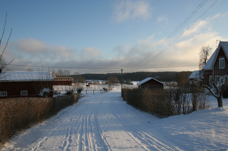 Rösjön från Väsby