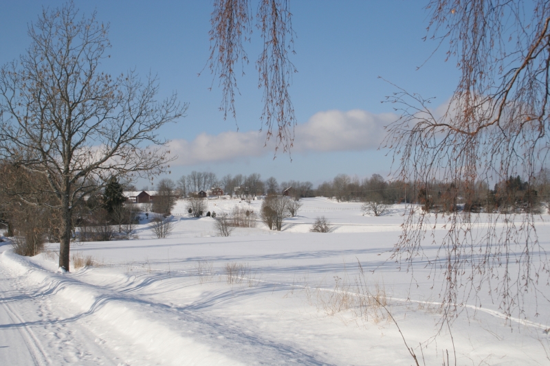 Väsby stuteri