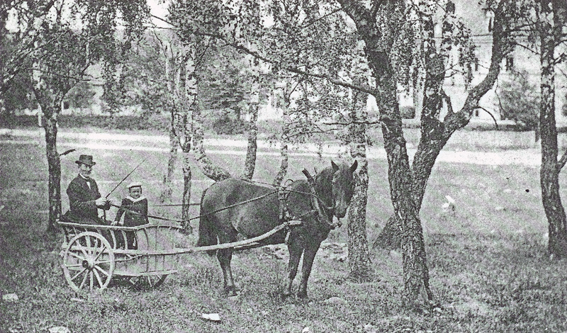 August Johansson i Fälle