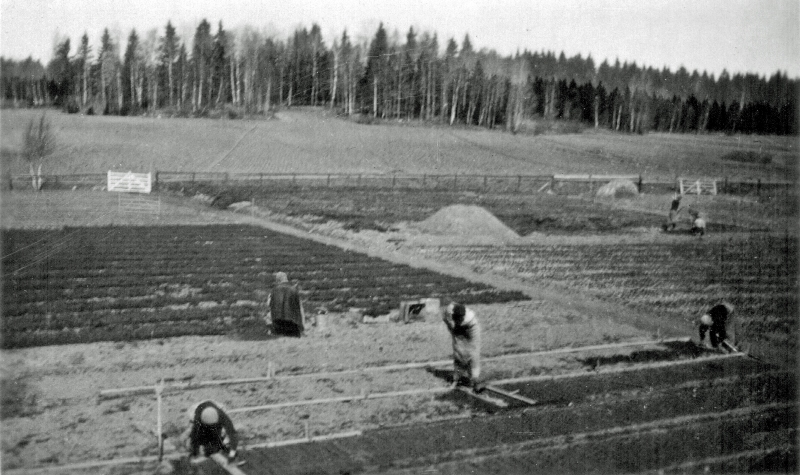 Plantskolan på Näs