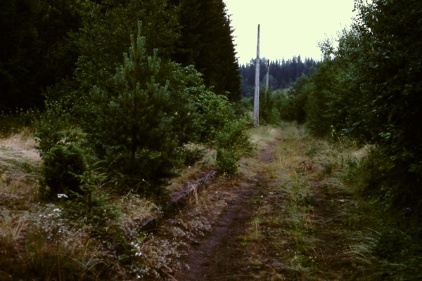 Sparrens hållplats 1986