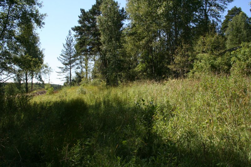 Här började Sjöbergs åker