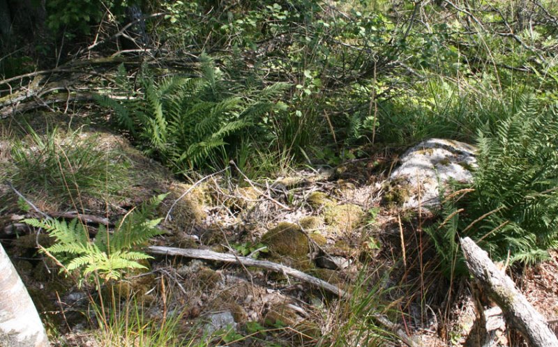 Husgrund vid Sjöberg